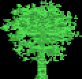 A green tree
