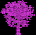 A pink tree