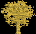 A yellow tree